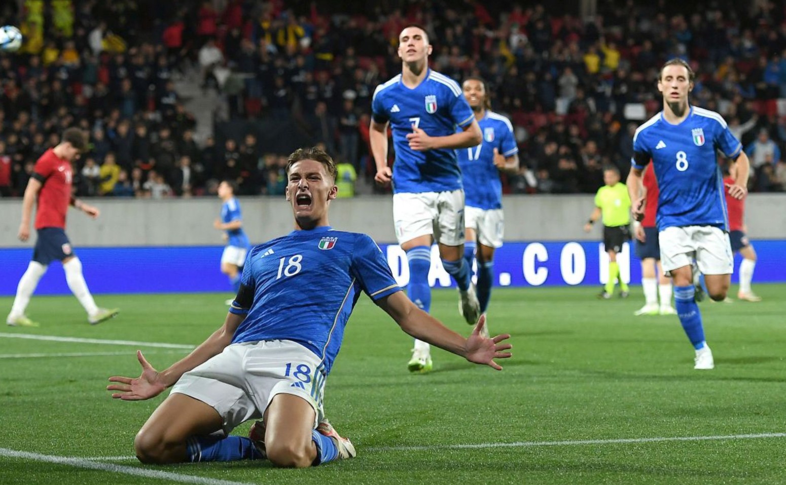 转会窗口的 转会窗口的